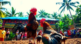 Link Judi Sabung Ayam Terbaru di Indonesia